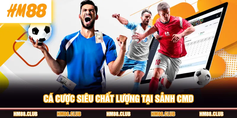 Cá cược siêu chất lượng tại sảnh CMD