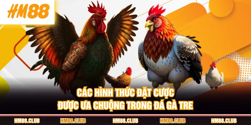 Các hình thức đặt cược được ưa chuộng trong đá gà tre