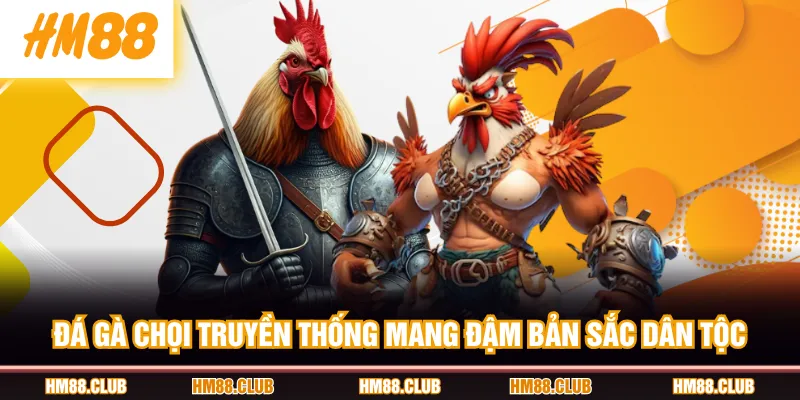 Đá gà chọi truyền thống mang đậm bản sắc dân tộc