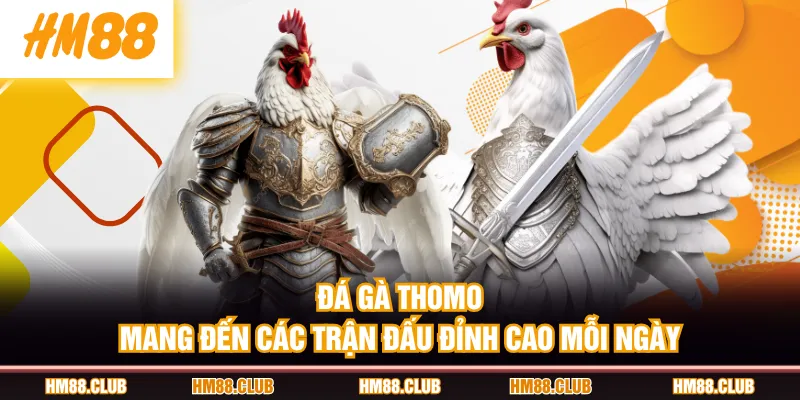 Đá gà Thomo mang đến các trận đấu đỉnh cao mỗi ngày