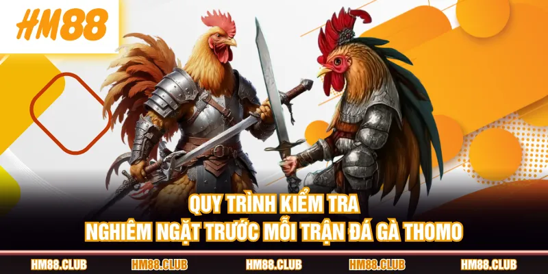 Quy trình kiểm tra nghiêm ngặt trước mỗi trận đá gà Thomo