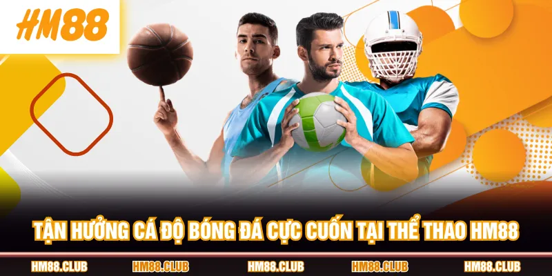 Tận hưởng cá độ bóng đá cực cuốn tại Thể Thao HM88