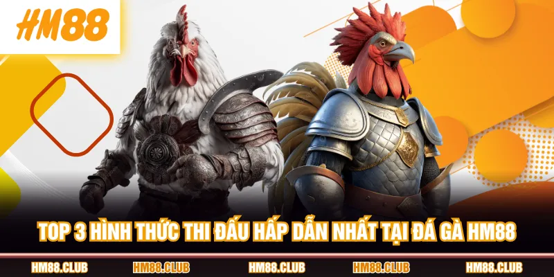 TOP 3 hình thức thi đấu hấp dẫn nhất tại Đá Gà HM88